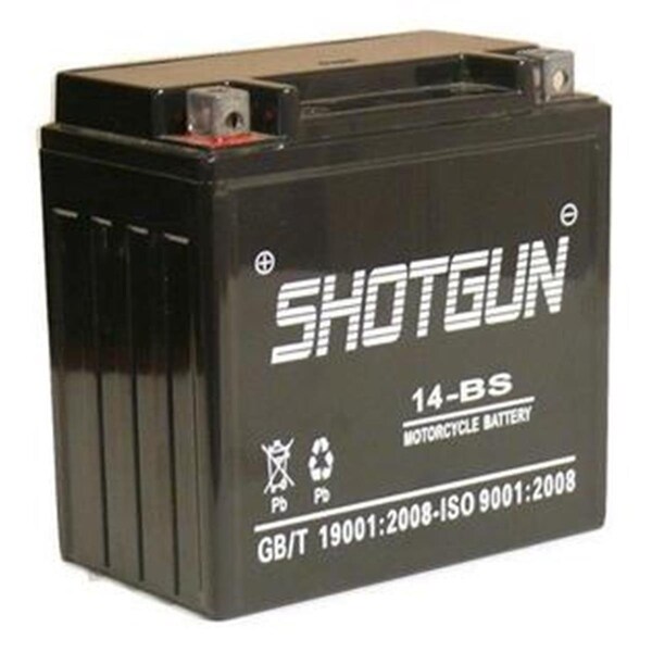 Batteryjack Shotgun YTZ14 - BS Replacement Battery for Triumph Harley V - Rod VRSC Charger Combo 14-BS-ShotgunF120020 - main